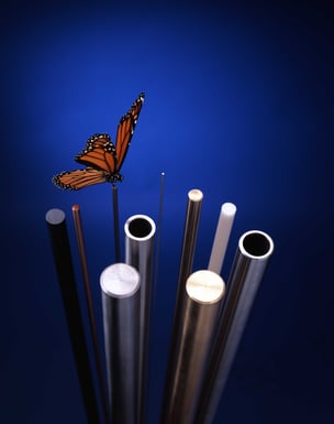 Bars butterfly